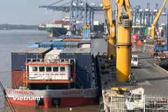 Báo cáo 7 tháng năm 2026 cho thấy kim ngạch xuất nhập khẩu Việt Nam đạt gần 660 tỷ USD, hoạt động thương mại duy trì tăng trưởng mạnh mẽ. (Ảnh: Vietnam+)