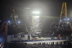 Công ty bảo hiểm ước tính ban đầu tổng số tiền chi trả cho các trường hợp này vào khoảng 1,2 tỷ đồng. (Ảnh: TTXVN)