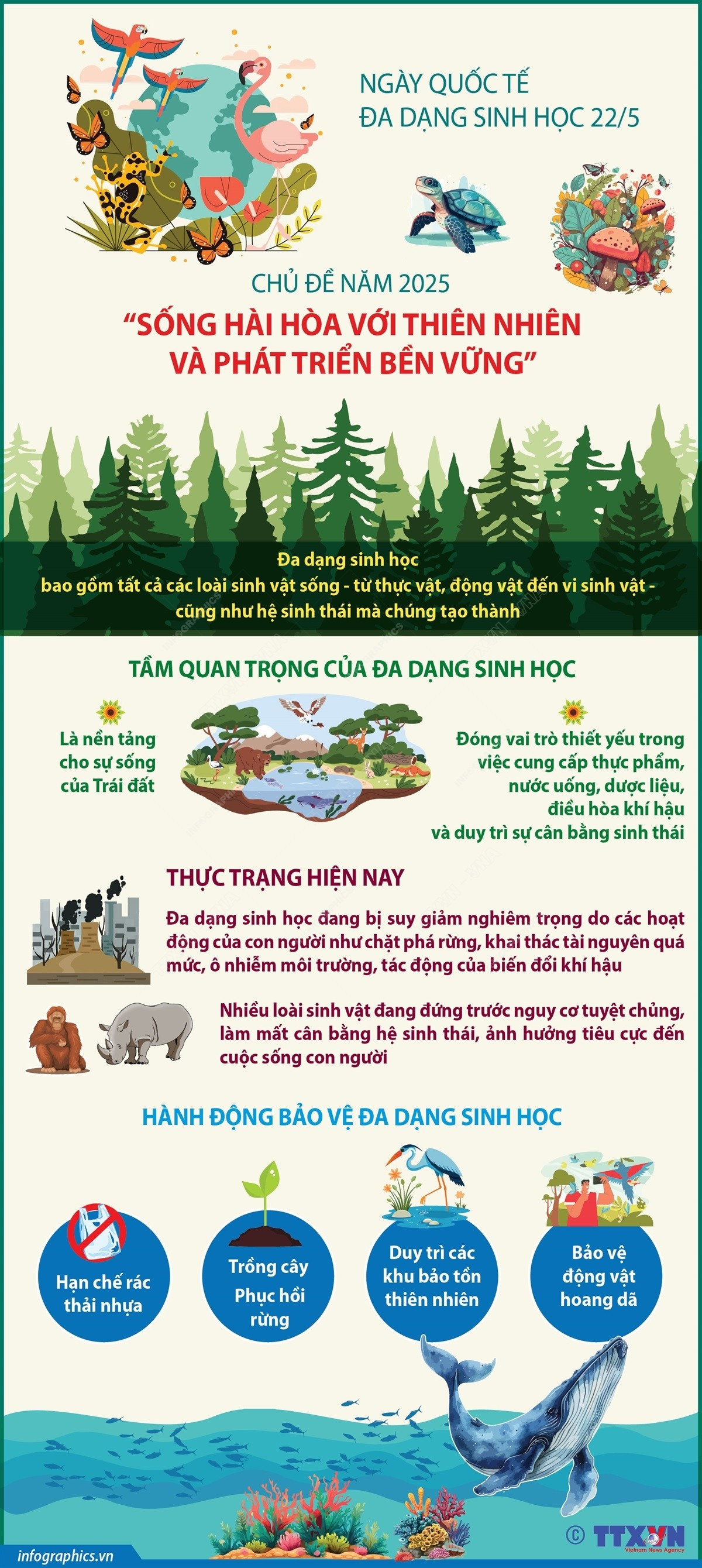 vna-potal-ngay-quoc-te-da-dang-sinh-hoc-225-song-hai-hoa-voi-thien-nhien-va-phat-trien-ben-vung-8046501.jpg