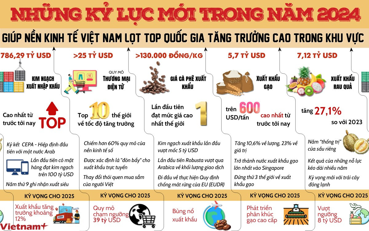 ky-luc-kinh-te-viet-nam-2024.png