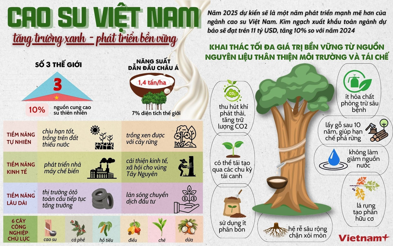 cao-su-viet-nam.jpg