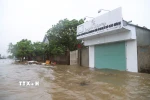 Khu vực dân cư gần cửa biển Lạch Vạn thuộc xã Diễn Châu (tỉnh Nghệ An) bị ngập nặng. (Ảnh: Xuân Tiến/TTXVN)