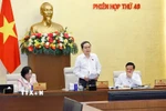 Chủ tịch Quốc hội Trần Thanh Mẫn phát biểu bế mạc Phiên họp. (Ảnh: Doãn Tấn/TTXVN)