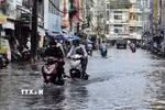 Đợt triều cường dâng cao ở Cà Mau hồi giữa tháng 12. (Ảnh: Kim Há/TTXVN)