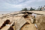 Sóng biển gây sạt lở, ăn sâu vào đất liền thôn Thanh Hải, xã Bắc Trạch. (Ảnh: Nguyên Linh/TTXVN)