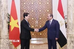 Chủ tịch nước Lương Cường và Tổng thống Ai Cập Abdel Fattah El-Sisi. (Ảnh: Lâm Khánh/TTXVN)