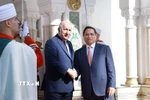 Thủ tướng Phạm Minh Chính hội kiến Tổng thống Algeria Abdelmadjid Tebboune. (Ảnh: Dương Giang/TTXVN)