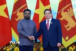 Thủ tướng Phạm Minh Chính hội kiến Tổng thống Sri Lanka Anura Kumara Dissanayaka. (Ảnh: Dương Giang/TTXVN)