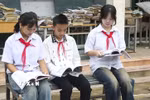 Ảnh minh họa. (Nguồn: TTXVN phát)