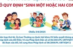 Sửa Pháp lệnh Dân số: Vợ chồng tự quyết định số con và thời gian sinh con
