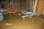 Nhiều nhà dân ở Điện Biên ngập trong nước và bùn đất (ảnh chụp lúc 7g25 ngày 2/8). (Ảnh: Xuân Tư/TTXVN)