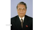Nguyên Ủy viên Bộ Chính trị, nguyên Chủ tịch nước Trần Đức Lương. (Nguồn: TTXVN)