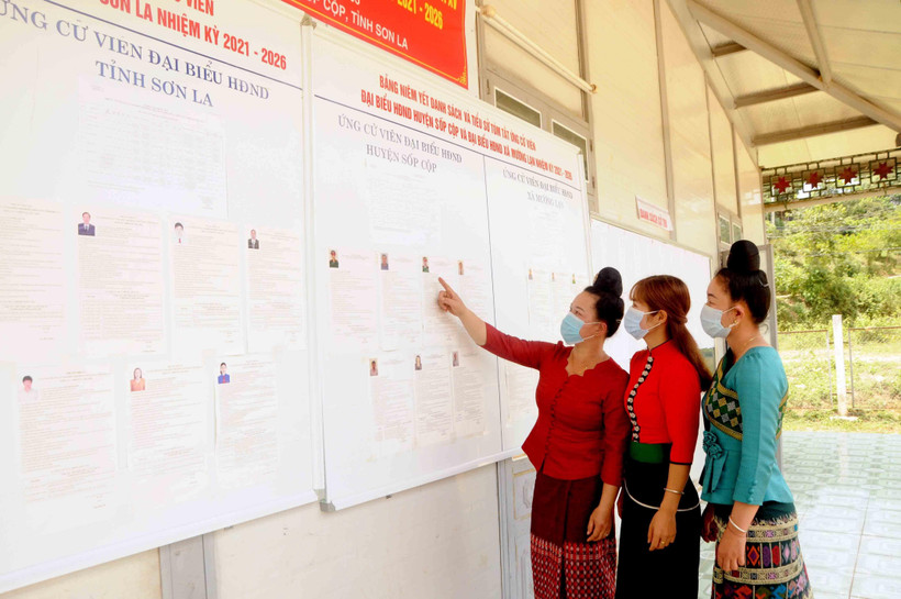 (Ảnh: Quang Quyết-TTXVN)