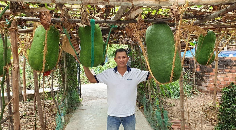 Du khách thích thú khi được chụp ảnh cùng những quả bí đao khổng lồ nặng trên 50kg. (Ảnh: Quốc Dũng/TTXVN) 