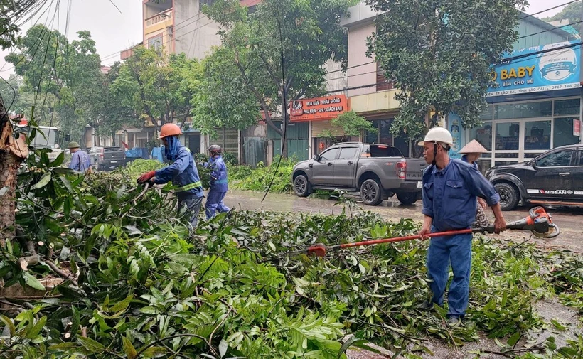 Công nhân Công ty Cổ phần Môi trường Đô thị tỉnh Lào Cai cắt dọn cây xanh bị gãy đổ để đảm bảo an toàn giao thông. (Ảnh: Quốc Khánh/TTXVN)