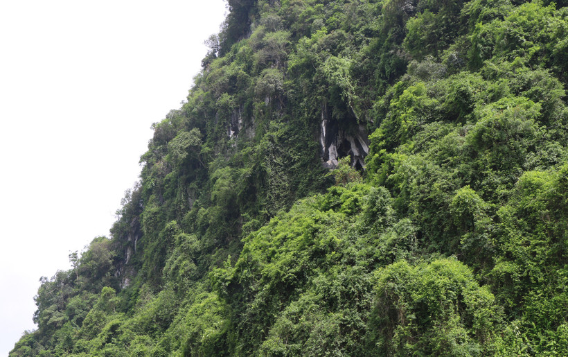 Chùa nằm trong hang ở lưng chừng núi Thâm Then, vùng bán ngập hồ Thác Bà. (Ảnh: Đức Tưởng/TTXVN)