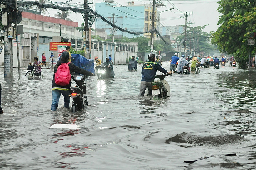 (Ảnh: Hồng Giang/TTXVN)