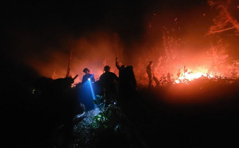 Thành phố Hạ Long huy động hàng trăm người từ các lực lượng tham gia chữa cháy, tuy nhiên do gió to, kèm cây đổ gãy đã khô héo nhiều cháy bùng nhanh, khó khăn cho công tác dập lửa. (Ảnh: TTXVN phát)