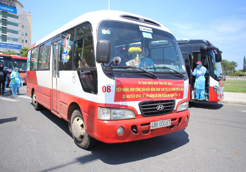 Xe ôtô chở người dân Đắk Nông bị kẹt lại Đà Nẵng do dịch trở về nơi cư trú. (Ảnh: Trần Lê Lâm/TTXVN)