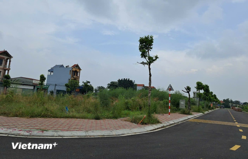 (Ảnh minh họa. Nguồn: Vietnam+)