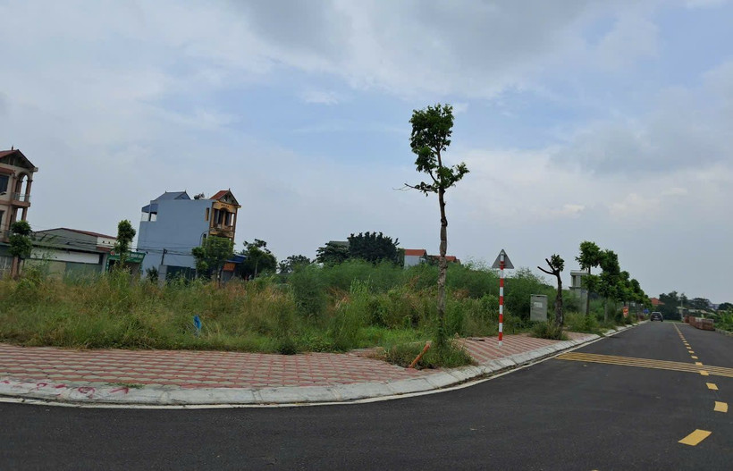 Theo giới chuyên gia, việc đẩy giá cũng có thể gây ra tình trạng dòng tiền bị ứ đọng vào đất. (Ảnh: Hùng Võ/Vietnam+)