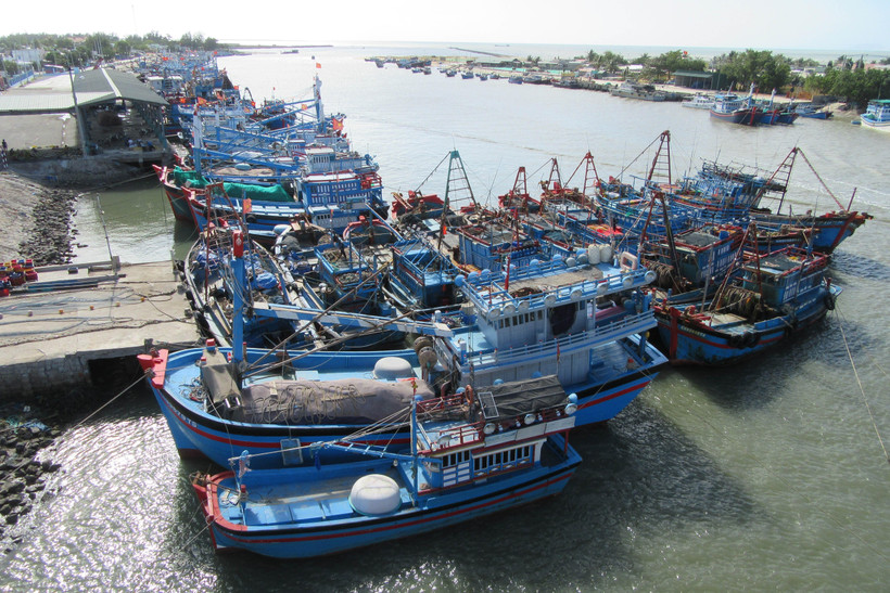 Tàu thuyền đánh bắt xa bờ neo đậu tại cảng cá Ninh Chữ (huyện Ninh Hải, Ninh Thuận). (Ảnh: Nguyễn Thành/TTXVN)