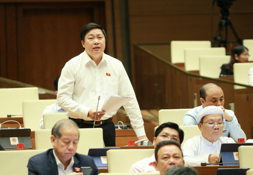 Đại biểu Quốc hội tỉnh Ninh Bình Mai Khanh phát biểu ý kiến. (Ảnh: Doãn Tấn/TTXVN)