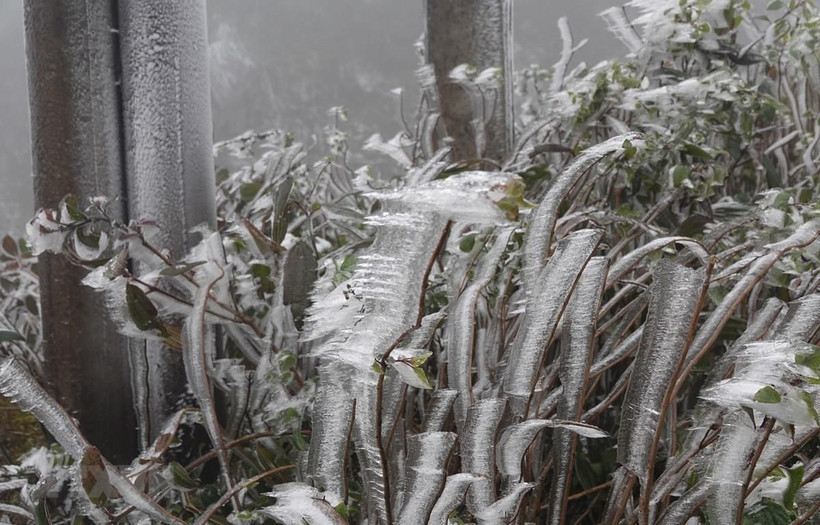 Đợt rét đậm đầu tiên có khả năng sẽ xảy ra vào khoảng giữa tháng 12 tới. (Nguồn ảnh: TTXVN)