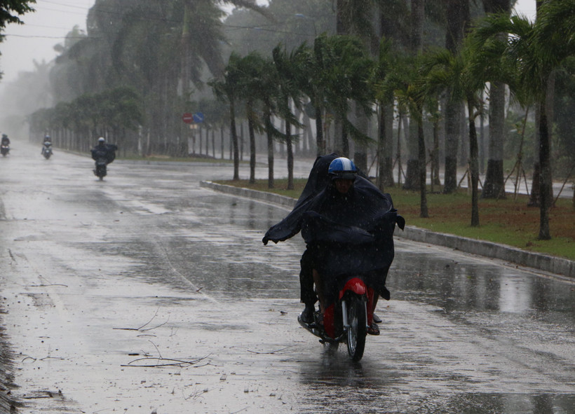 (Ảnh: Duy Khương/TTXVN)