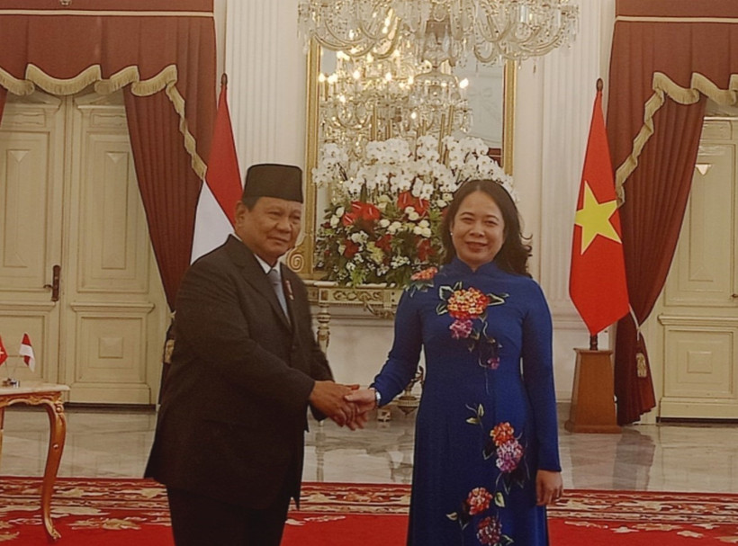 Phó Chủ tịch nước Võ Thị Ánh Xuân và Tổng thống Indonesia Prabowo Subianto tại cuộc tiếp. (Ảnh: TTXVN phát)