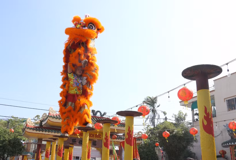 Múa Lân trên mai hoa thung luôn đòi hỏi sự hợp tác ăn ý và kỹ thuật khéo léo của 2 người. (Ảnh: Lê Thúy Hằng/TTXVN)