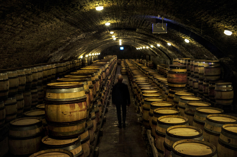 Một hầm rượu vang ở Nuits-Saint-Georges thuộc vùng Bourgogne, Pháp. (Ảnh: AFP/TTXVN)