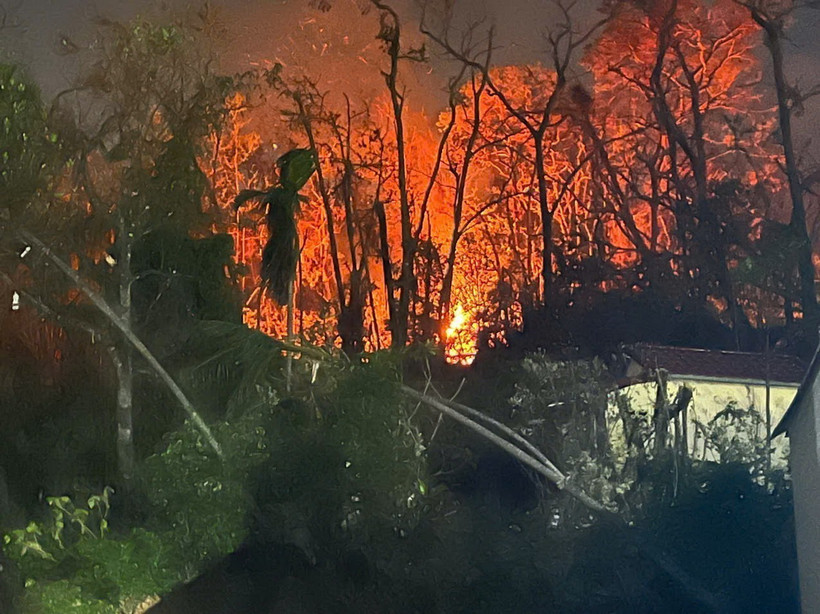 Một vụ cháy rừng ở thành phố Hạ Long, tỉnh Quảng Ninh. (Ảnh: TTXVN phát)