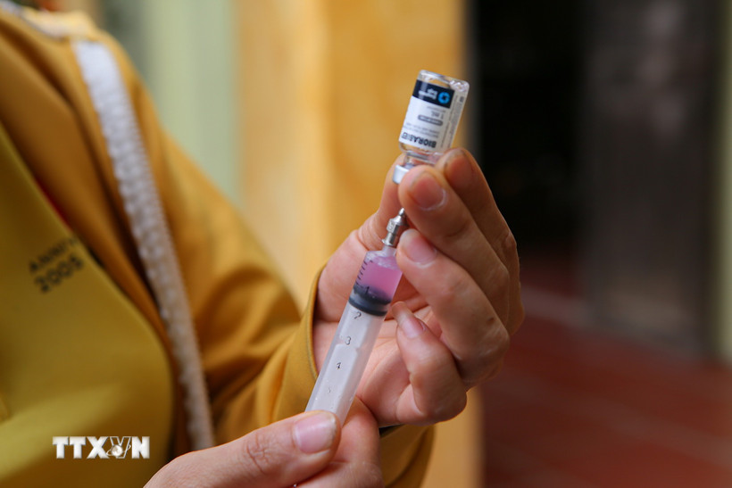 Tiêm vaccine phòng dại. (Nguồn: TTXVN)