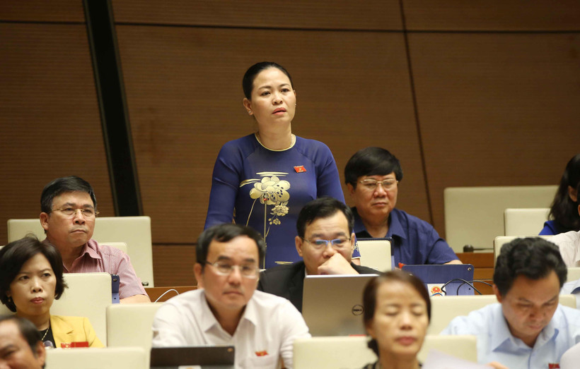 Đại biểu Quốc hội tỉnh Thái Bình Nguyễn Thị Thu Dung phát biểu ý kiến. (Ảnh: Doãn Tấn/TXVN)