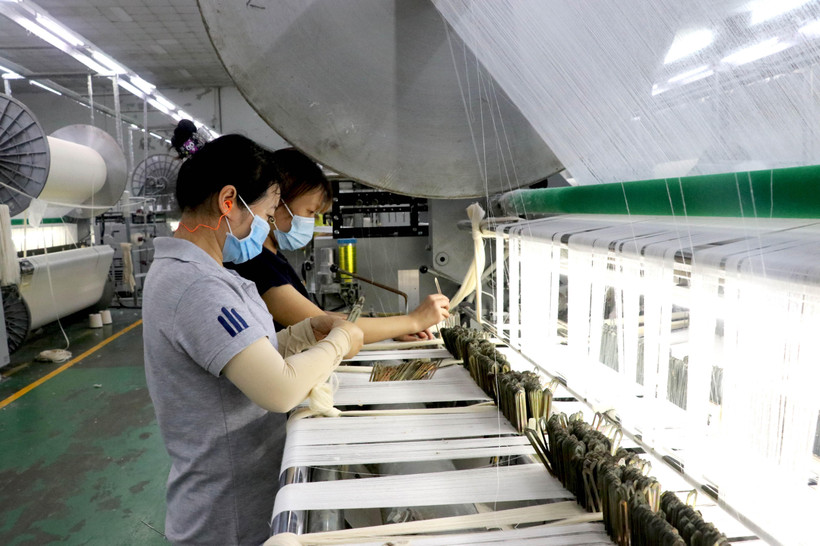 Công nhân sản xuất tại Công ty TNHH MTV SIGMA (Khu công nghiệp Đức Hòa III- Anh Hồng, huyện Đức Hòa, Long An. (Ảnh: Bùi Giang/TTXVN)