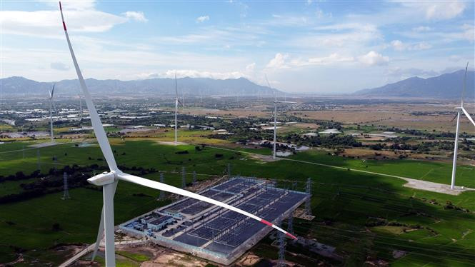 (Ảnh minh họa: Huy Hùng/TTXVN)