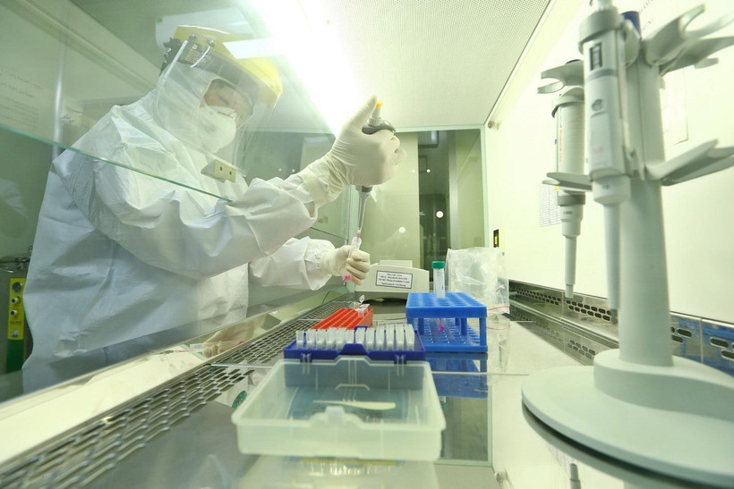 Xét nghiệm sàng lọc SARS-CoV-2. (Ảnh: TTXVN)