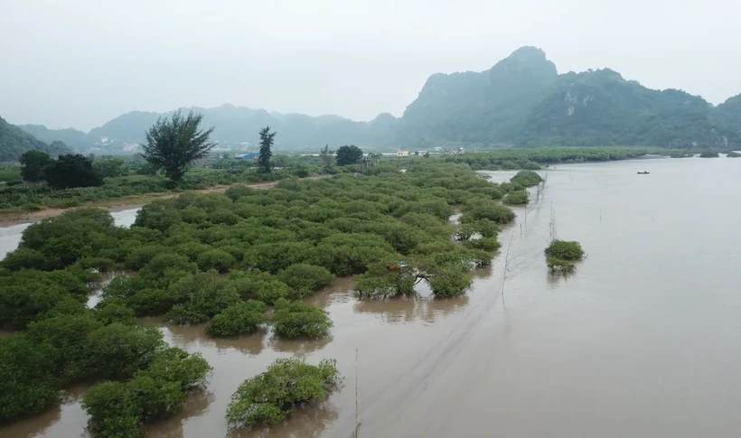 Ảnh chỉ có tính chất minh họa. (Nguồn: PV/Vietnam+) 