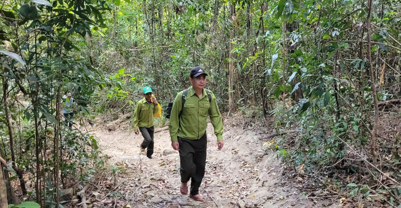 Lực lượng bảo vệ rừng Vườn Quốc gia Kon Ka Kinh tuần tra, bảo vệ rùng. (Ảnh: Hoài Nam/TTXVN)