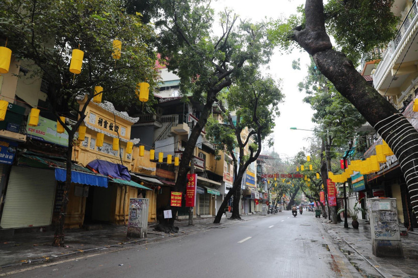 (Ảnh: Thành Đạt/TTXVN)