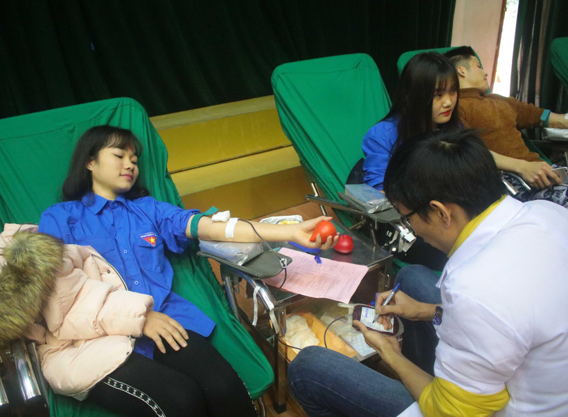 Đoàn viên thanh niên tham gia hiến máu tình nguyện tại Cao Bằng. (Ảnh: Chu Hiệu/TTXVN)