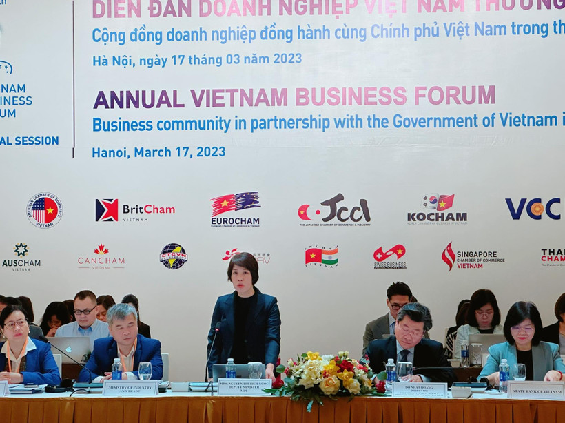 Thứ trưởng Bộ Kế hoạch và Đầu tư Nguyễn Thị Bích Ngọc. (Ảnh: PV/Vietnam+)