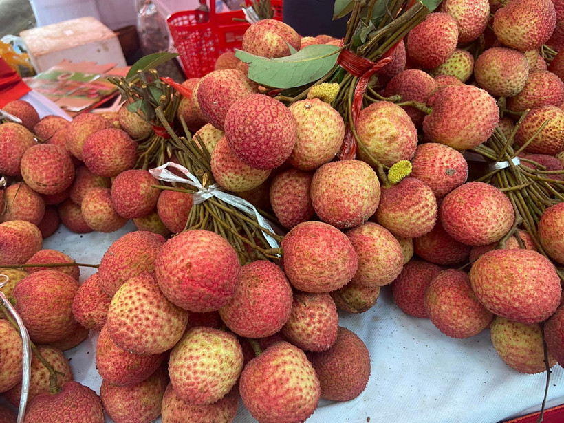 Vải Hưng Yên. (Nguồn: Vietnam+)