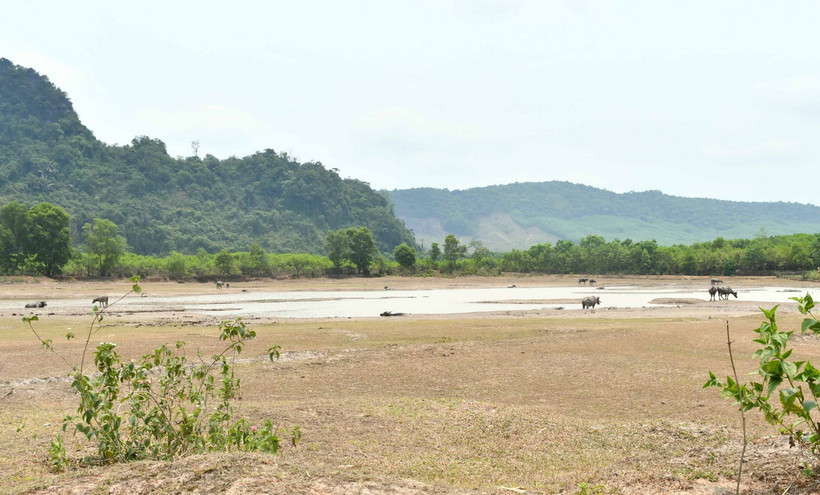 Nắng nóng gay gắt kéo dài khiến nhiều hồ, đập tại huyện Minh Hóa cạn kiệt nước. (Ảnh: Tá Chuyên/TTXVN)