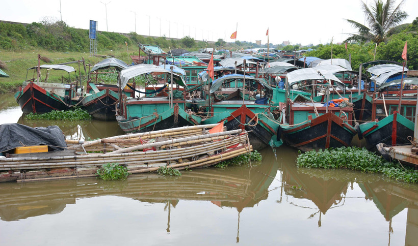 (Ảnh minh họa: Công Luật/TTXVN)