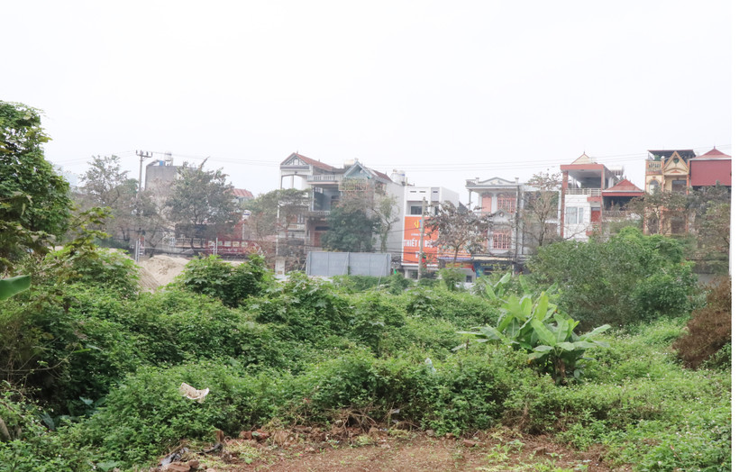 Ảnh minh họa. (Nguồn: TTXVN)