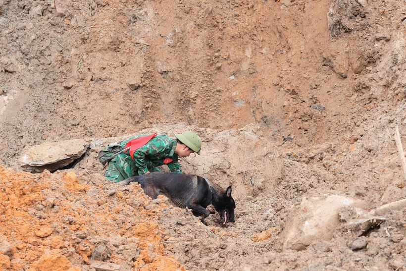 Chó nghiệp vụ được huy động để tìm kiếm các nạn nhân còn mất tích. (Ảnh: Hoàng Hiếu/TTXVN)