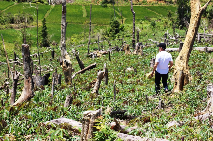 Bộ Tài nguyên và Môi trường phấn đấu hoàn thành việc xây dựng hò sơ dự Luật Đất đai (sửa đổi) trong năm 2022. (Ảnh: Hùng Võ/Vietnam+)