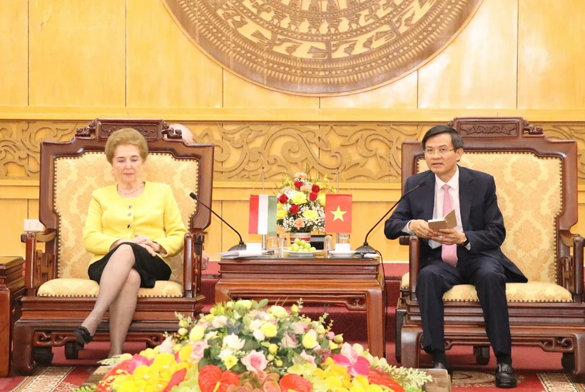 Ông Đoàn Minh Huấn, Ủy viên Trung ương Đảng, Bí thư Tỉnh ủy Ninh Bình và bà Márta Mátrai tại buổi tiếp. (Ảnh: Đức Phương/TTXVN)